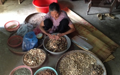 Cái 'tâm' của một người làm nghề thuốc